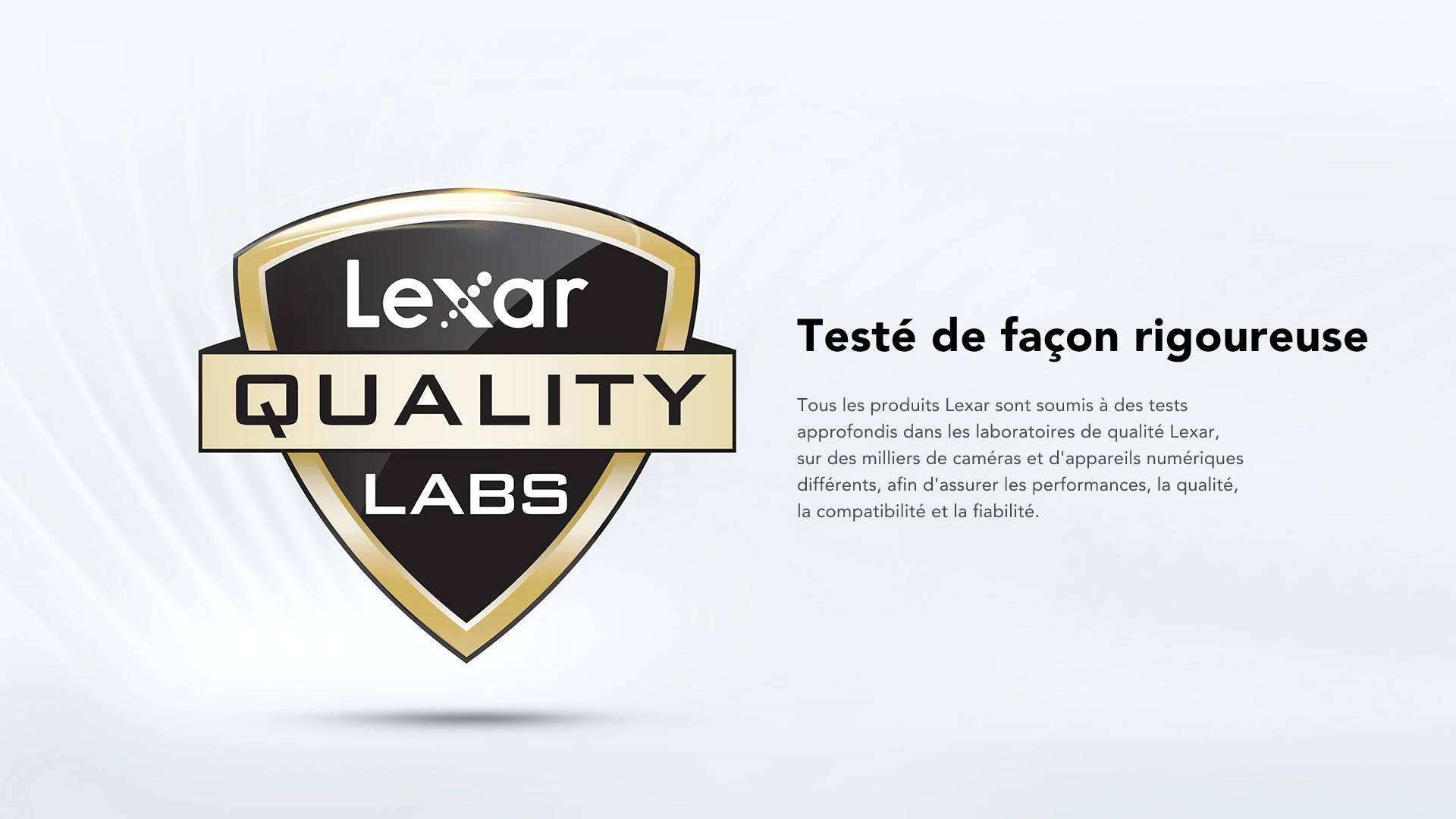 Cartes Lexar Professional SILVER PRO SDXC UHS-II
