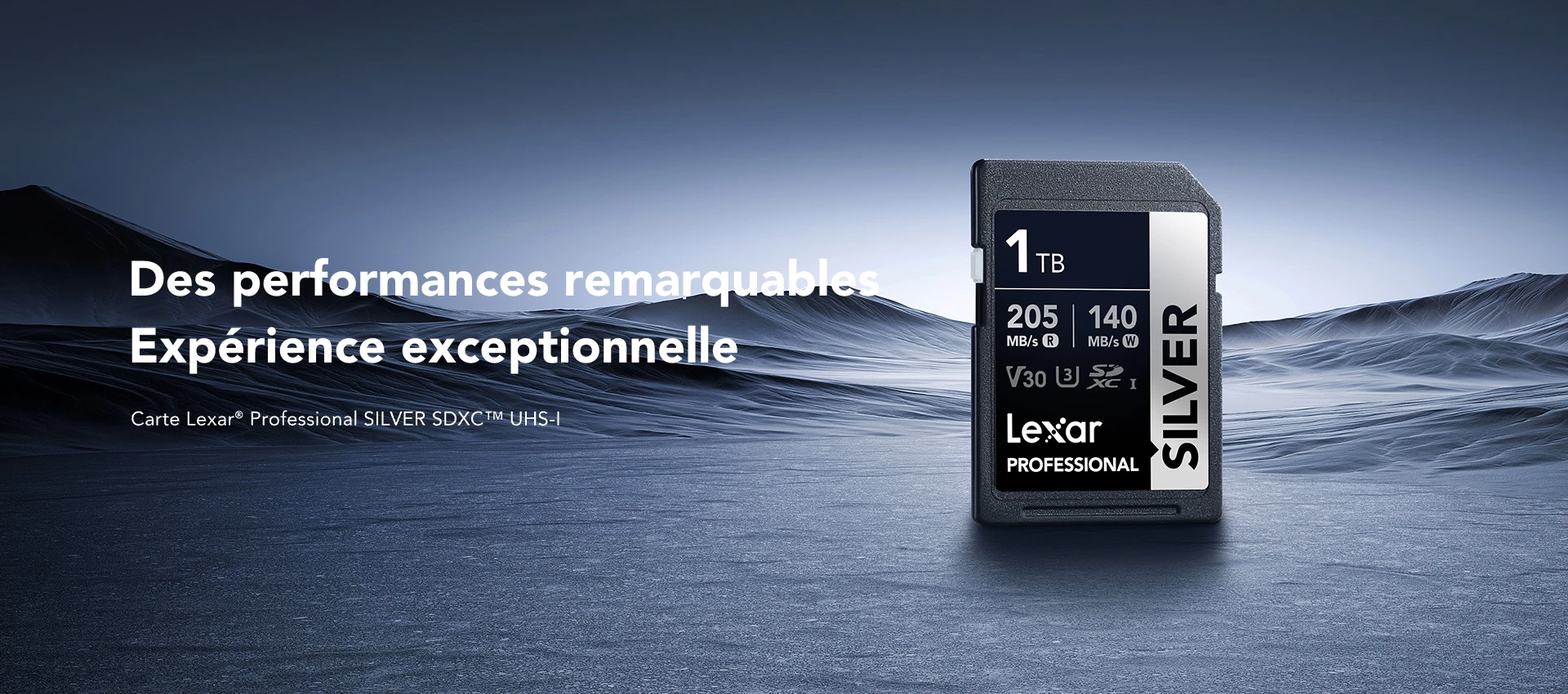 Carte Lexar Professional SILVER SDXC UHS-I